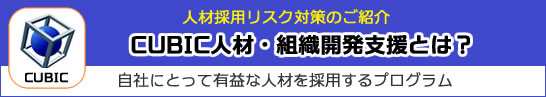 CUBIC歴20年採用適性検査のポイントを簡単解説 コンサル東のココがポイント