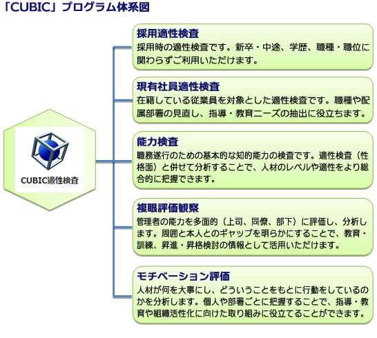 CUBICシステムの概要